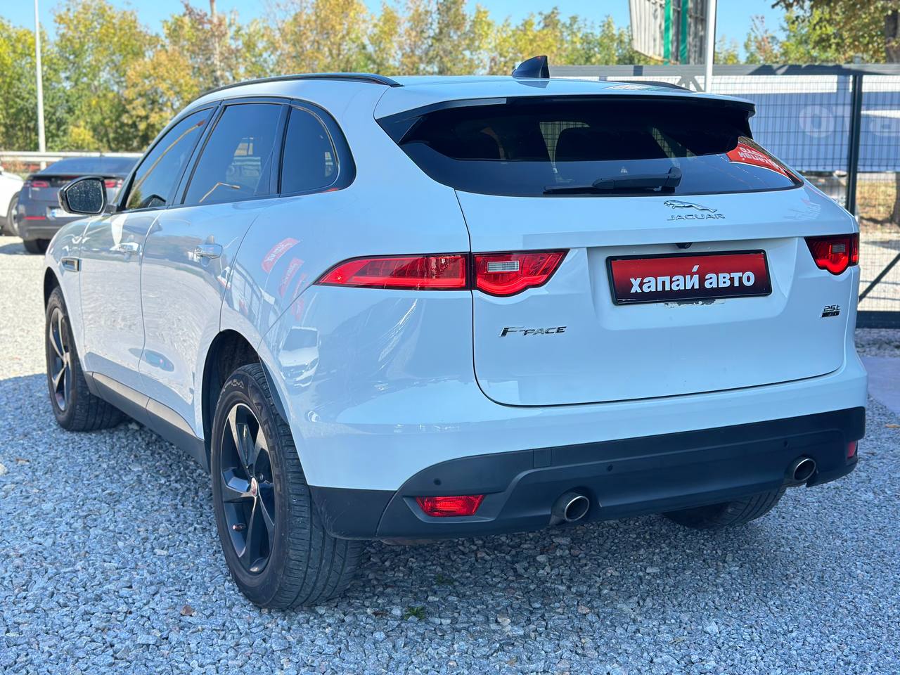 Jaguar-6
