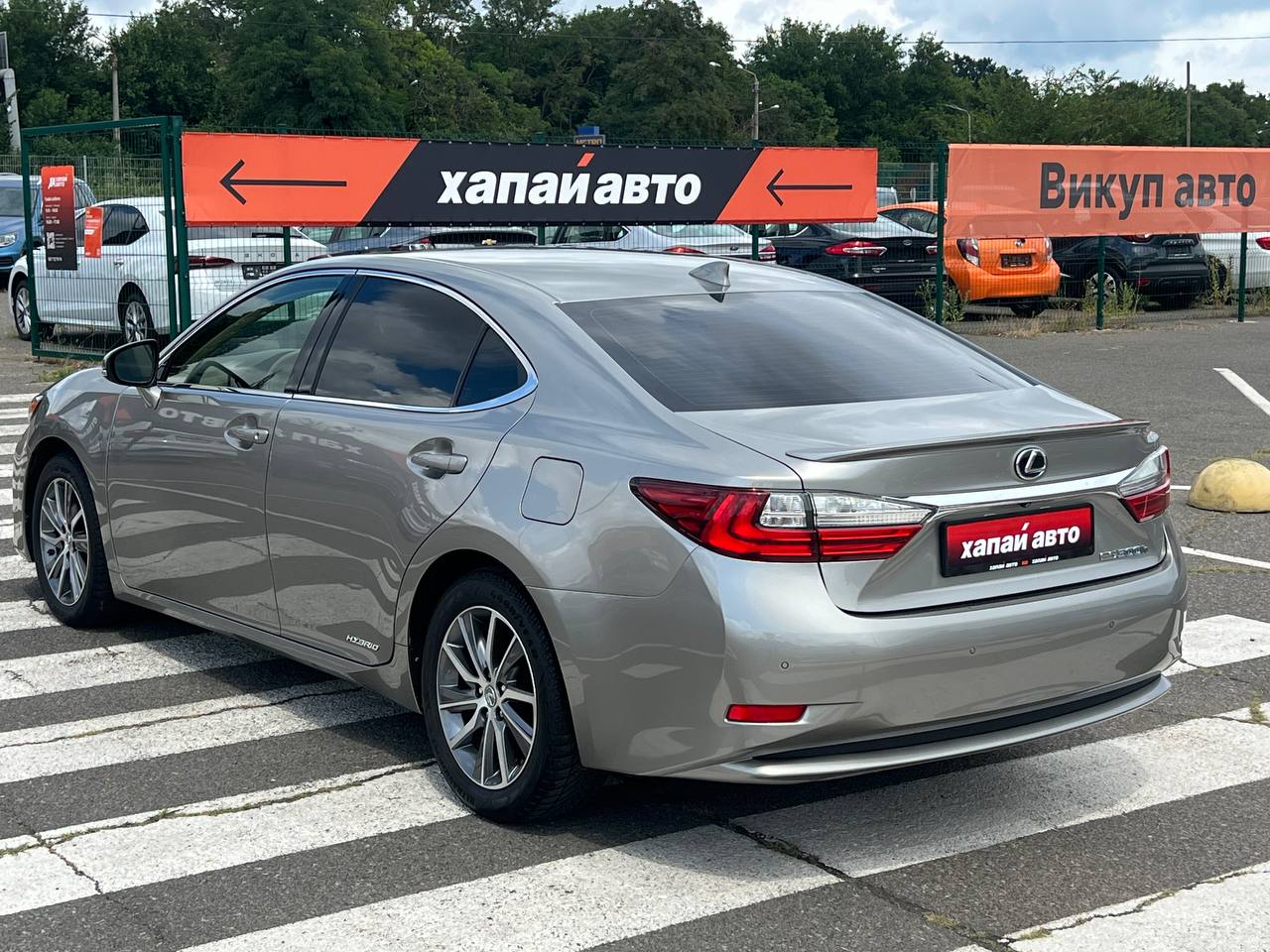 Lexus-6
