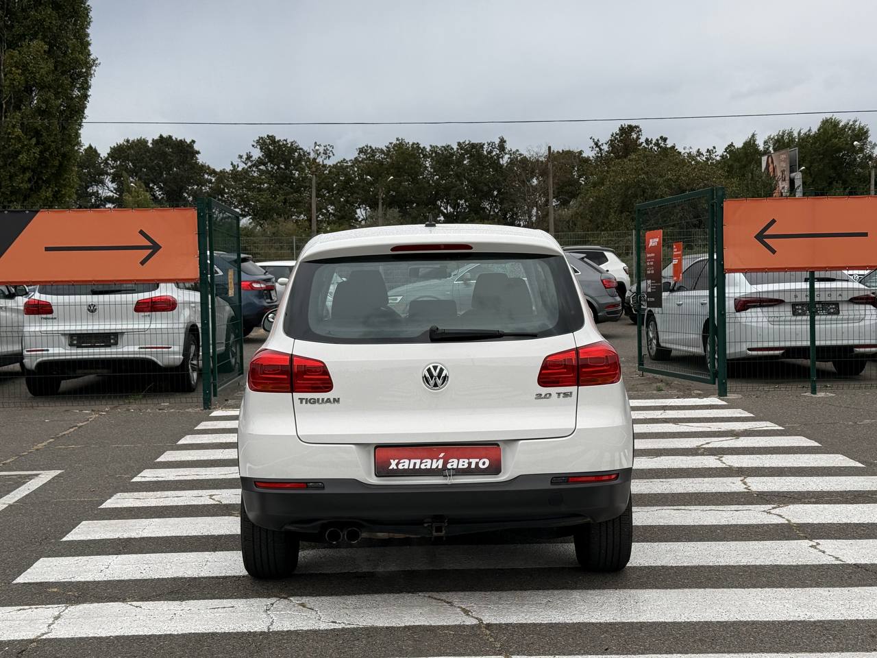 Volkswagen-12