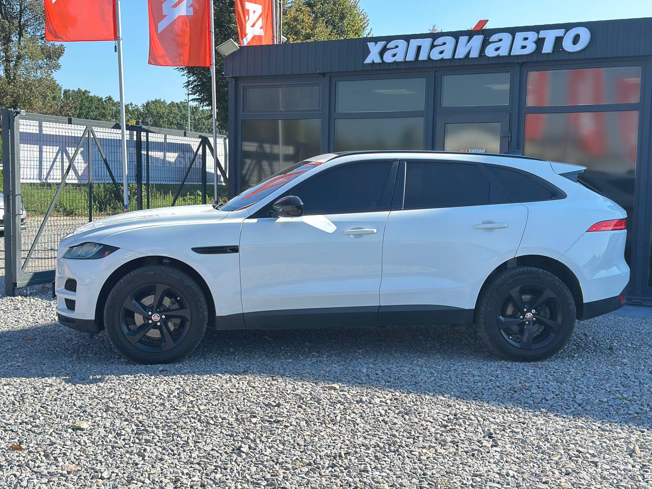 Jaguar-7