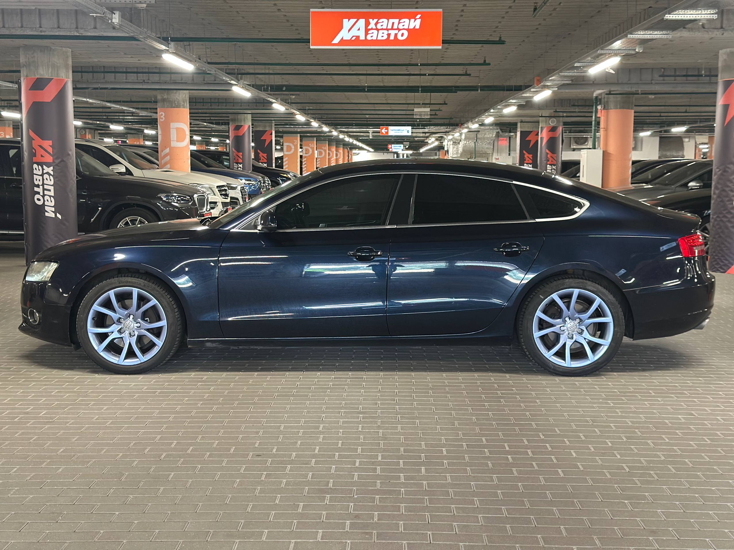 Audi-4