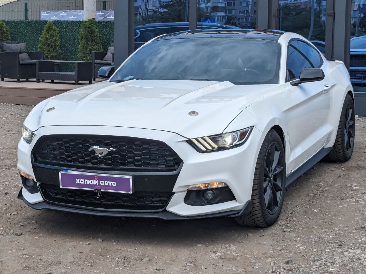 Мустанг, Форд Мустанг, Mustang Ford - купить Форд Мустанг в Украине,  Мустанг машина цены | ХАПАЙавто