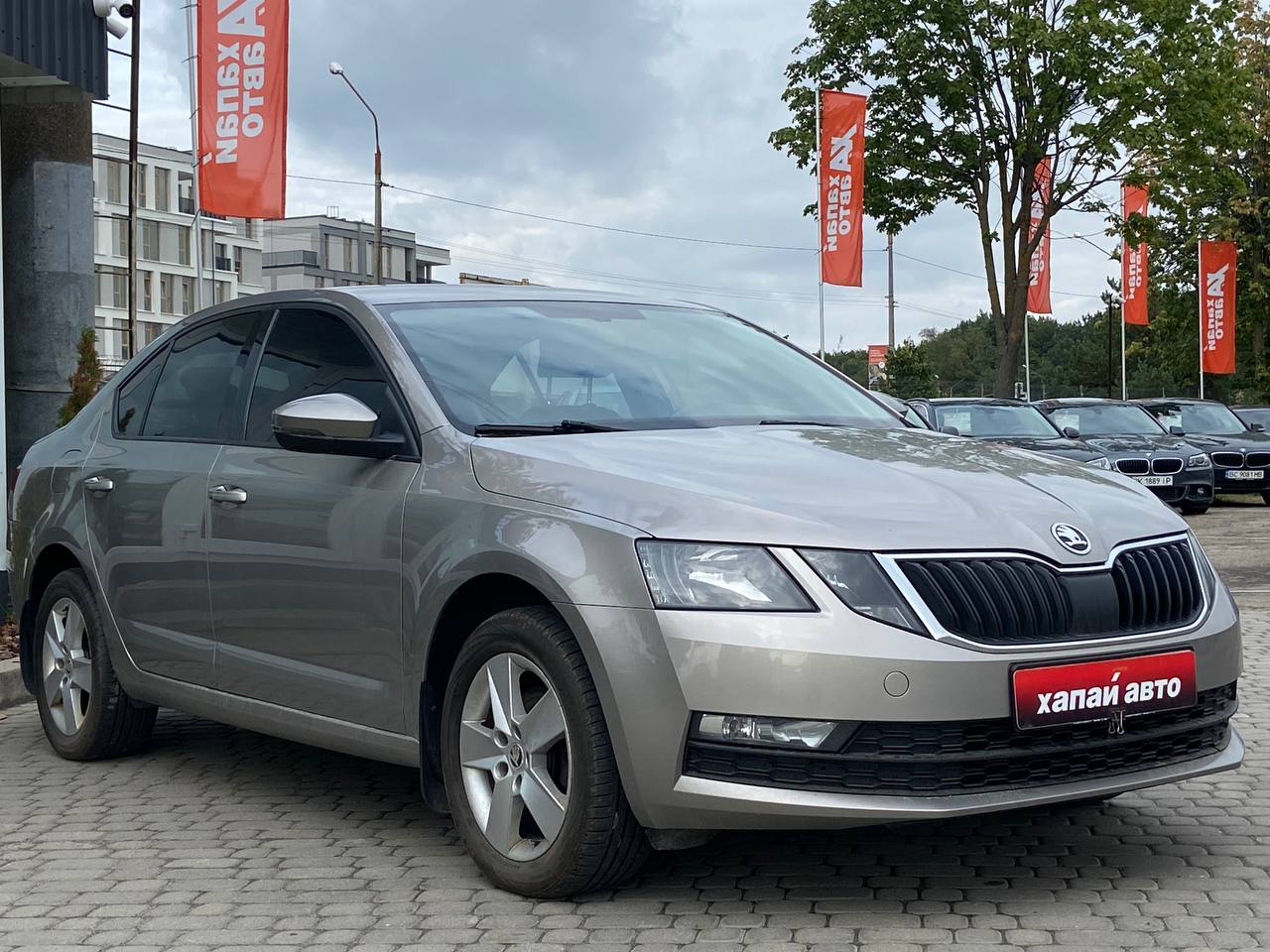 Skoda-18