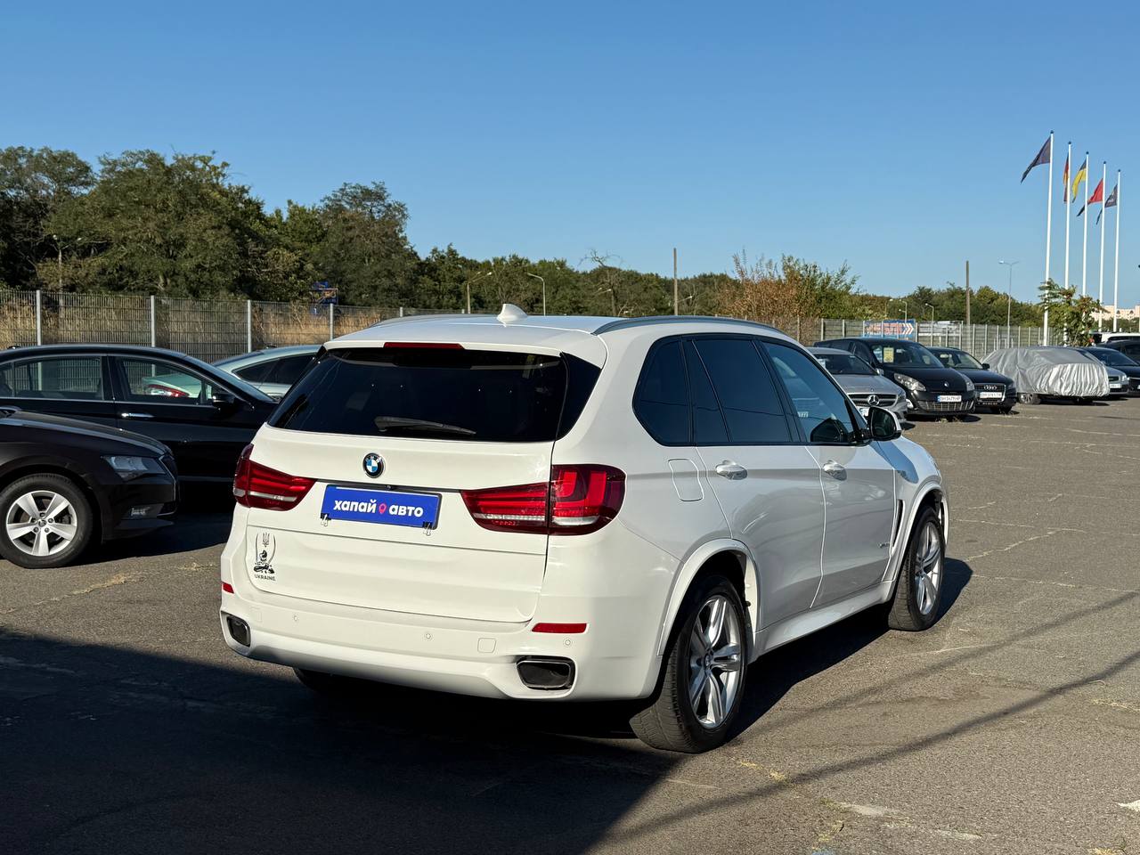 BMW-19