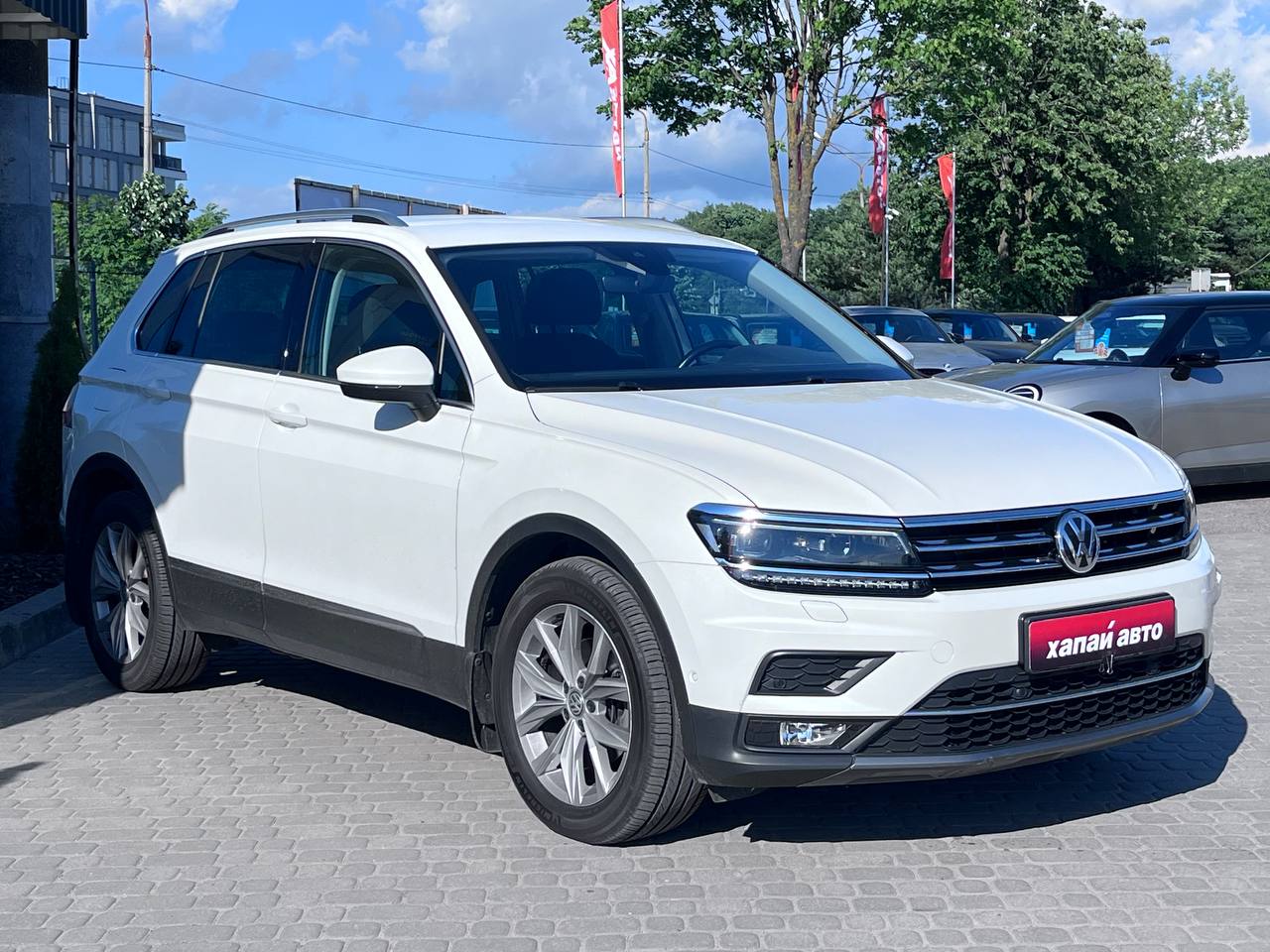 Volkswagen-6
