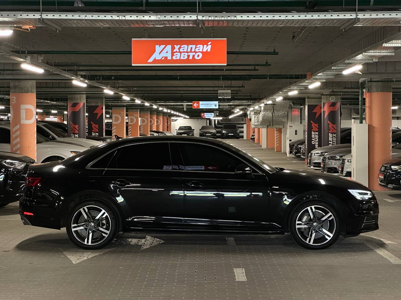 Audi-8