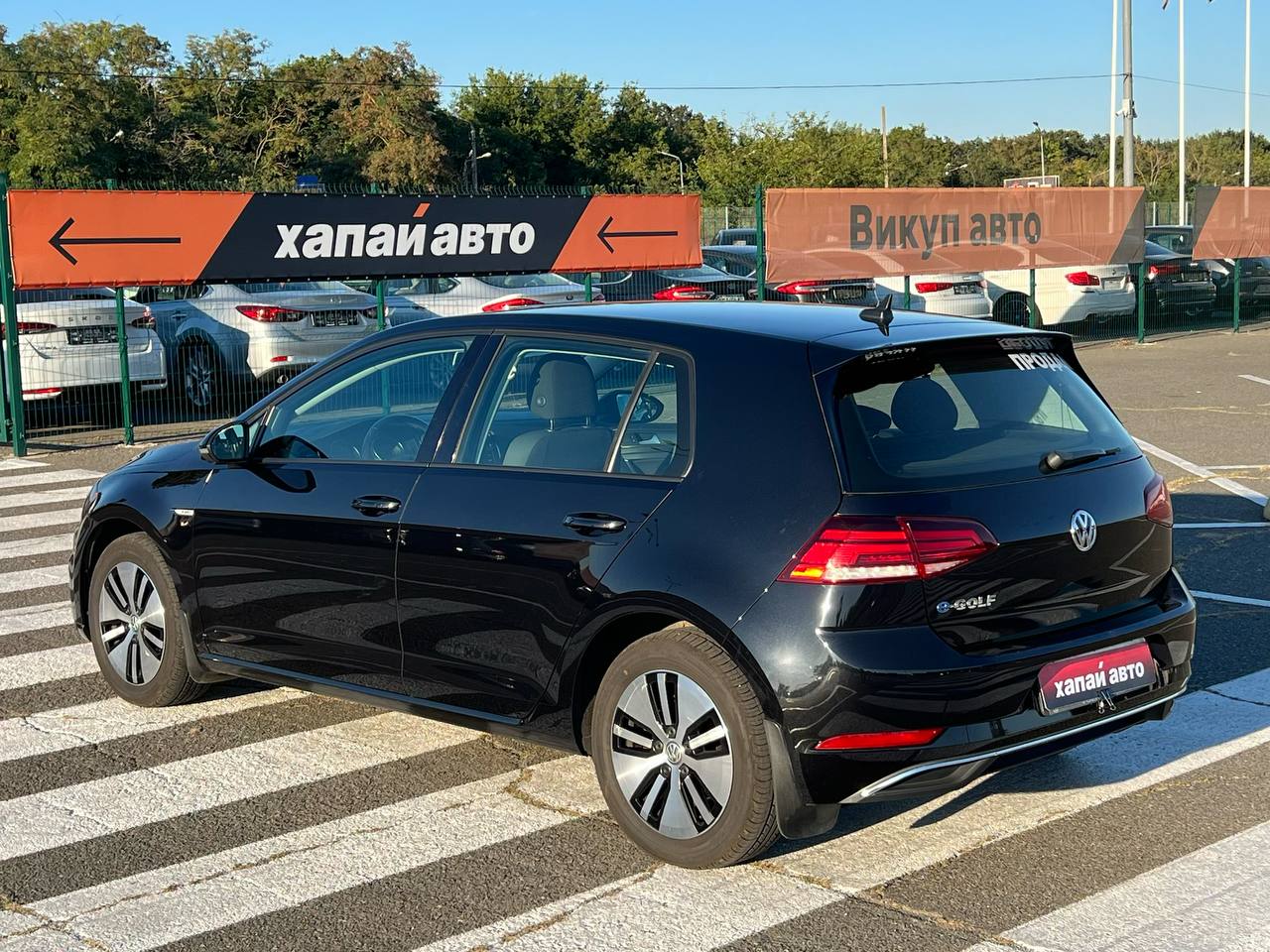 Volkswagen-4