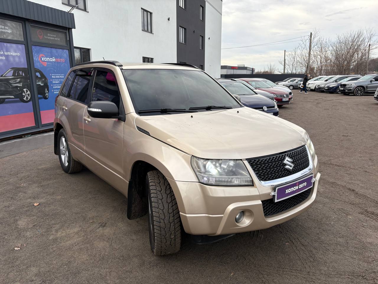 Suzuki-7