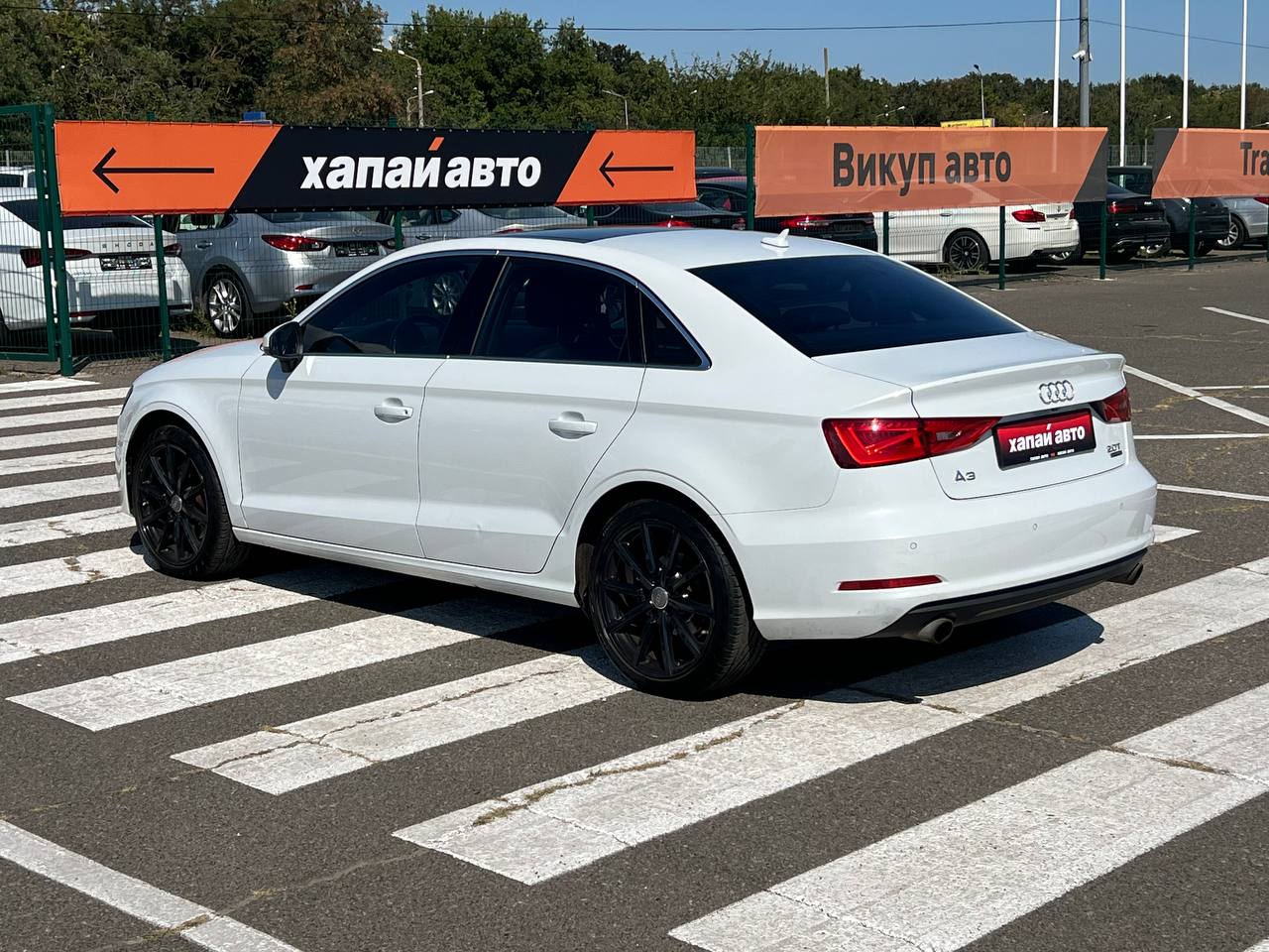 Audi-8