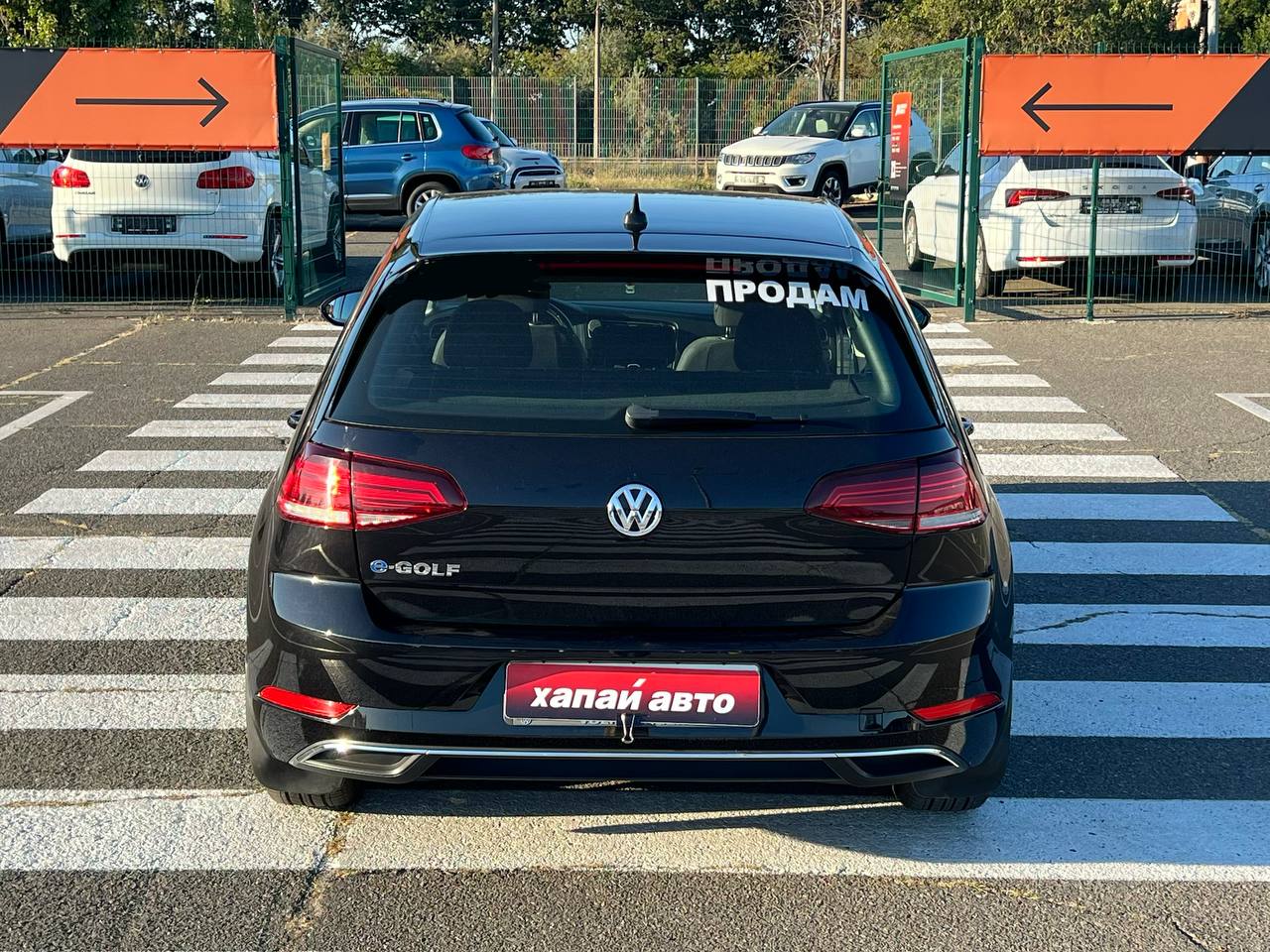 Volkswagen-5