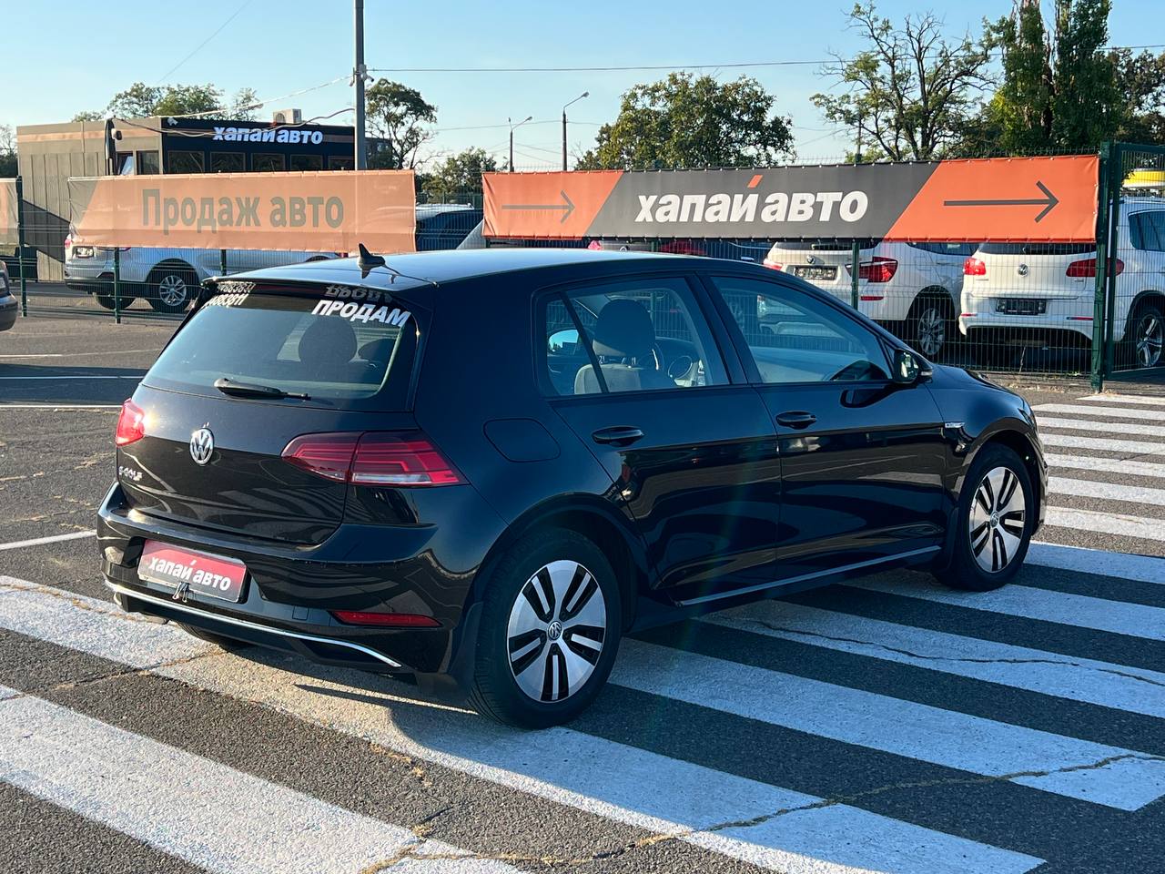 Volkswagen-6