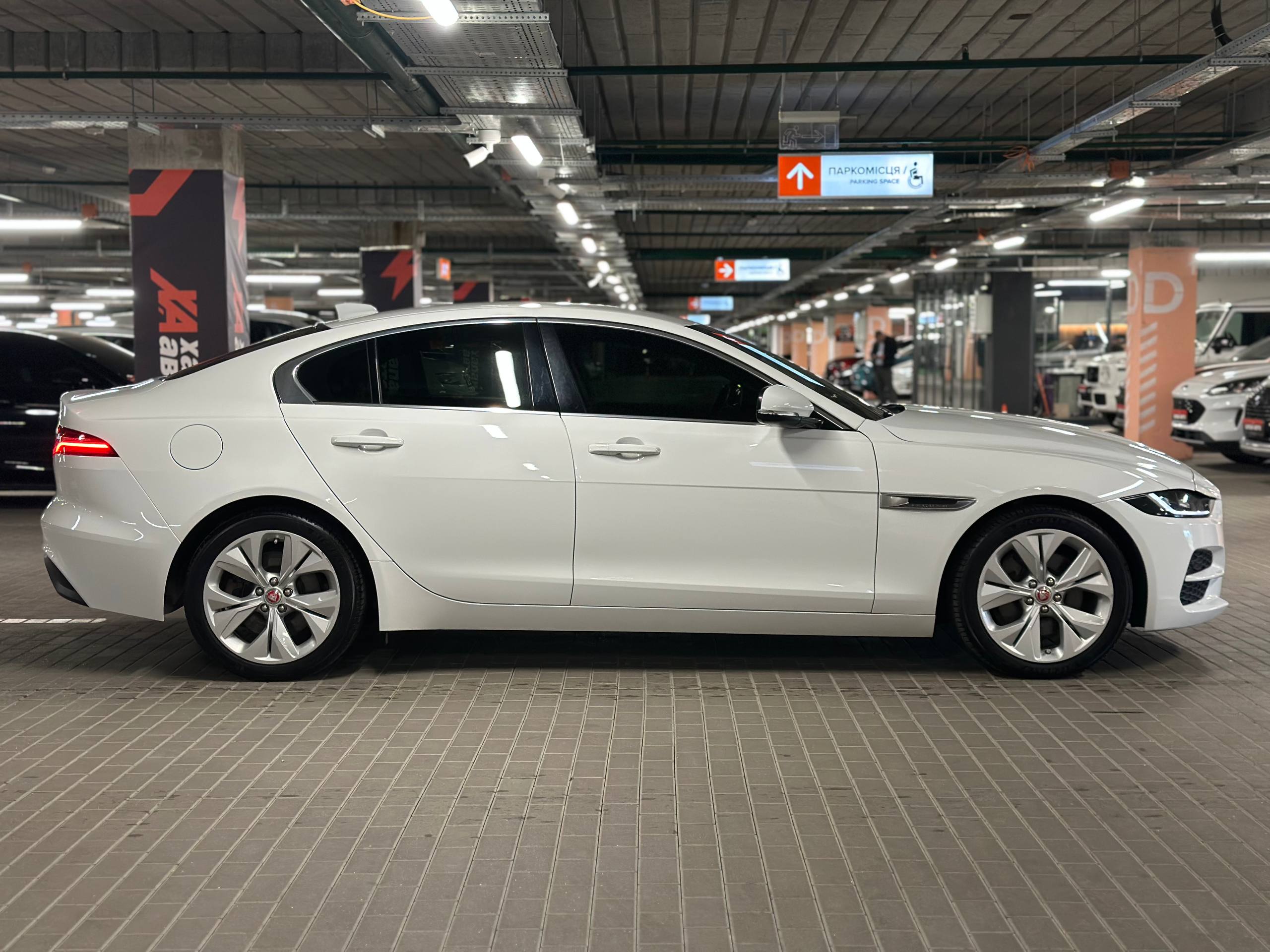 Jaguar-7