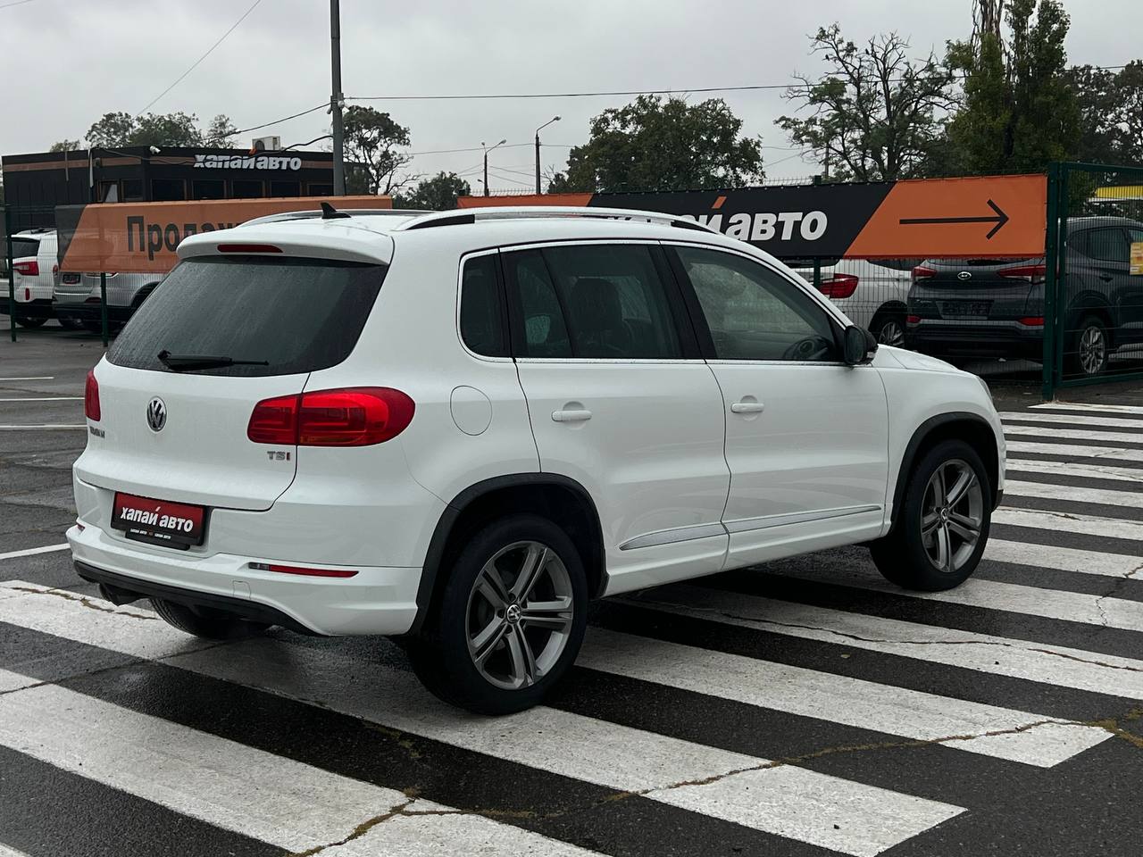 Volkswagen-4