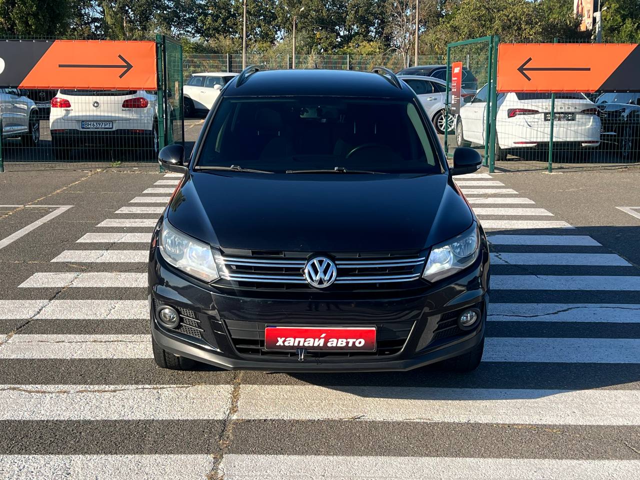 Volkswagen-12
