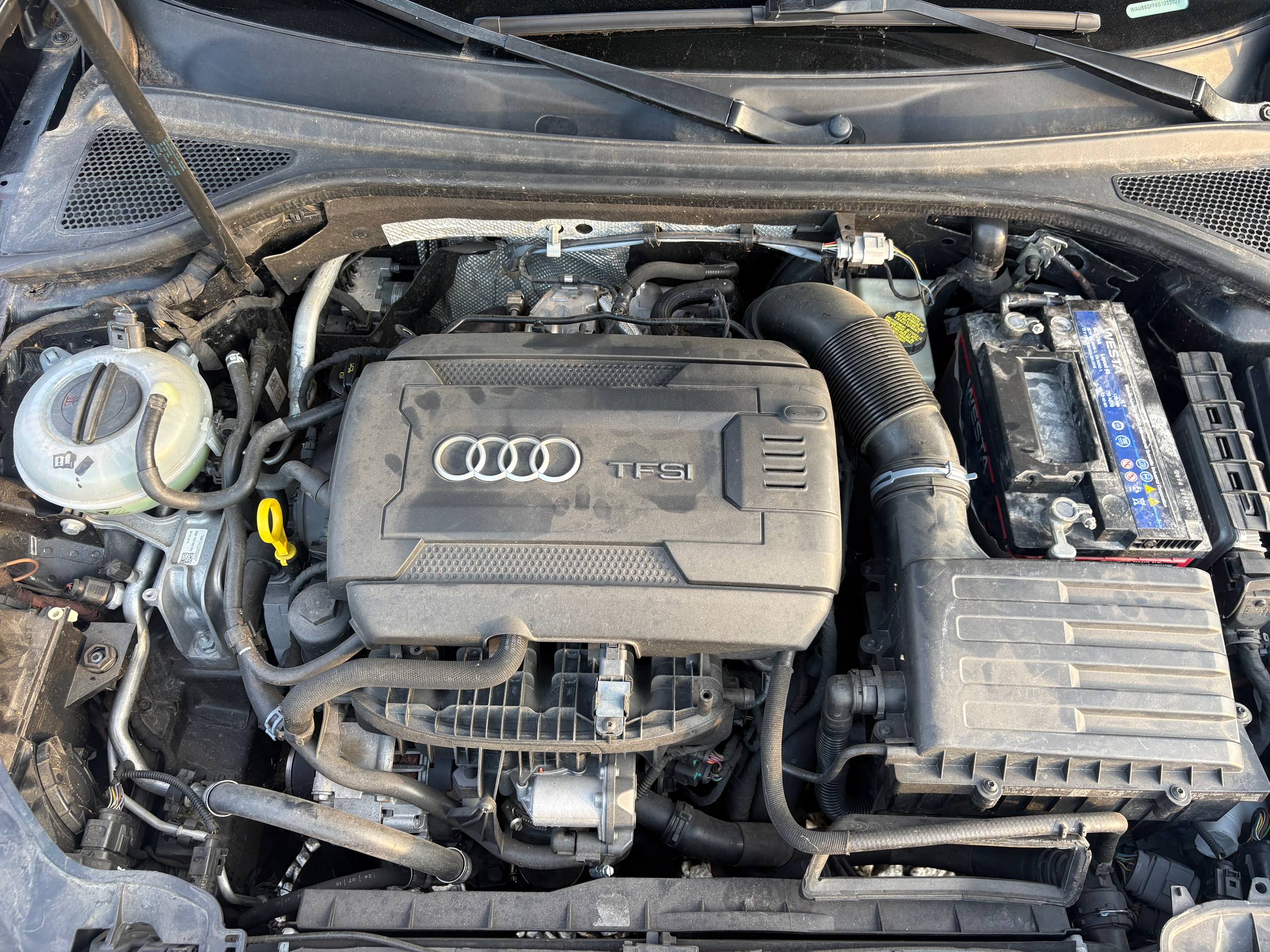 Audi-7