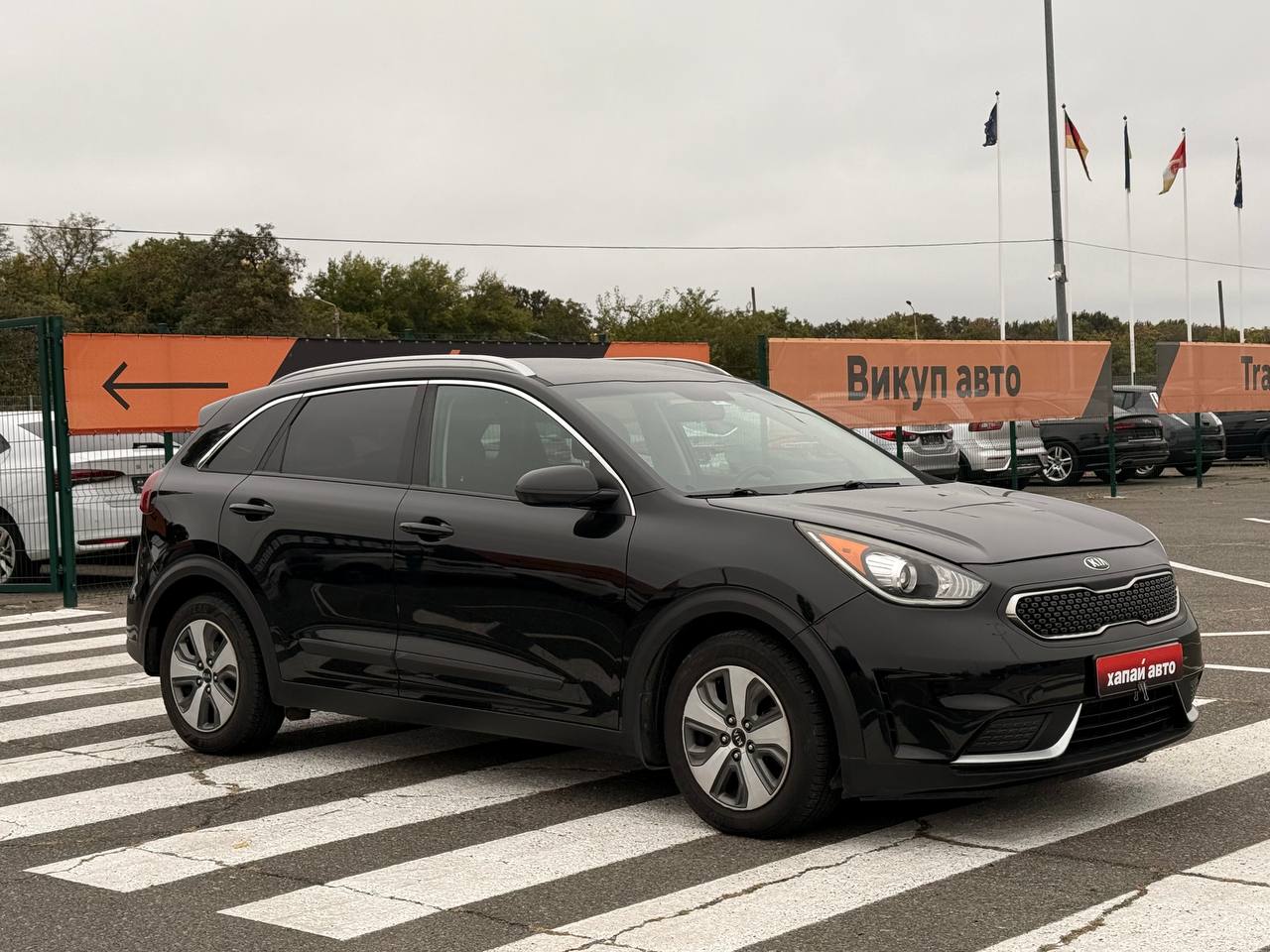 Kia-10