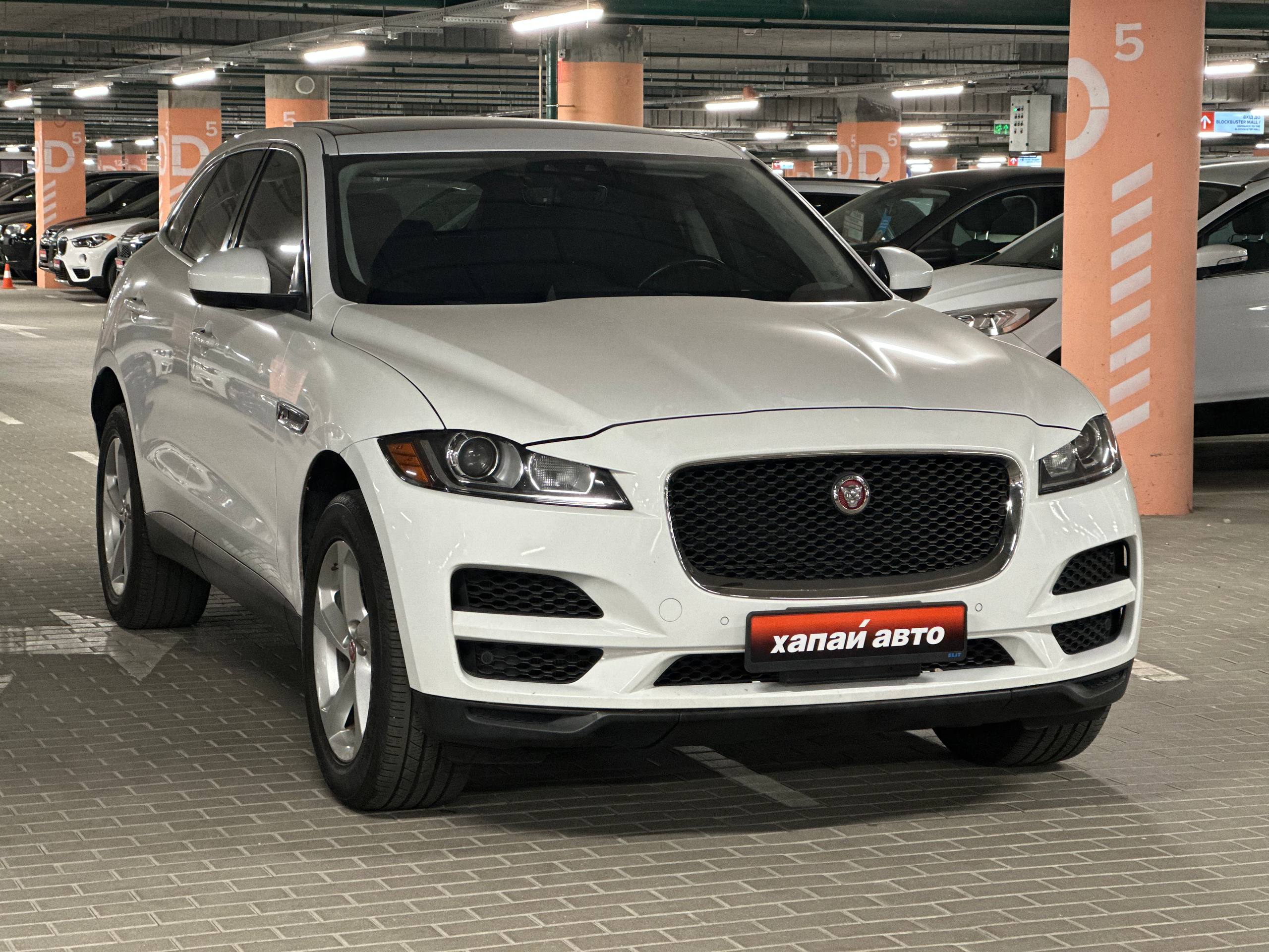Jaguar-16