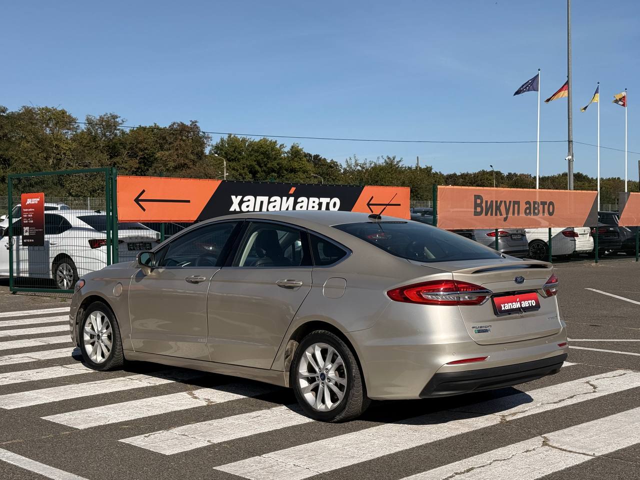 Ford-8