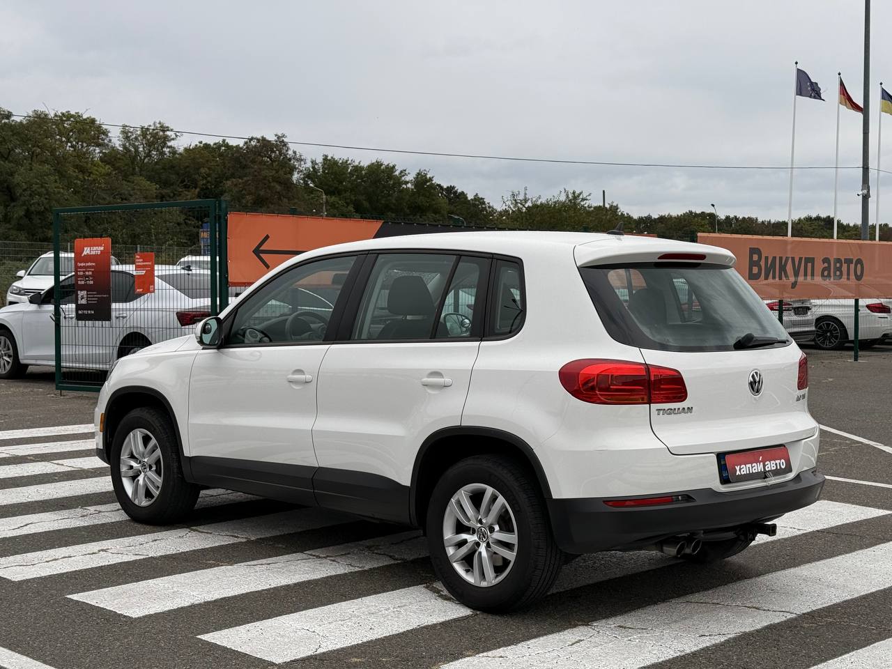 Volkswagen-5