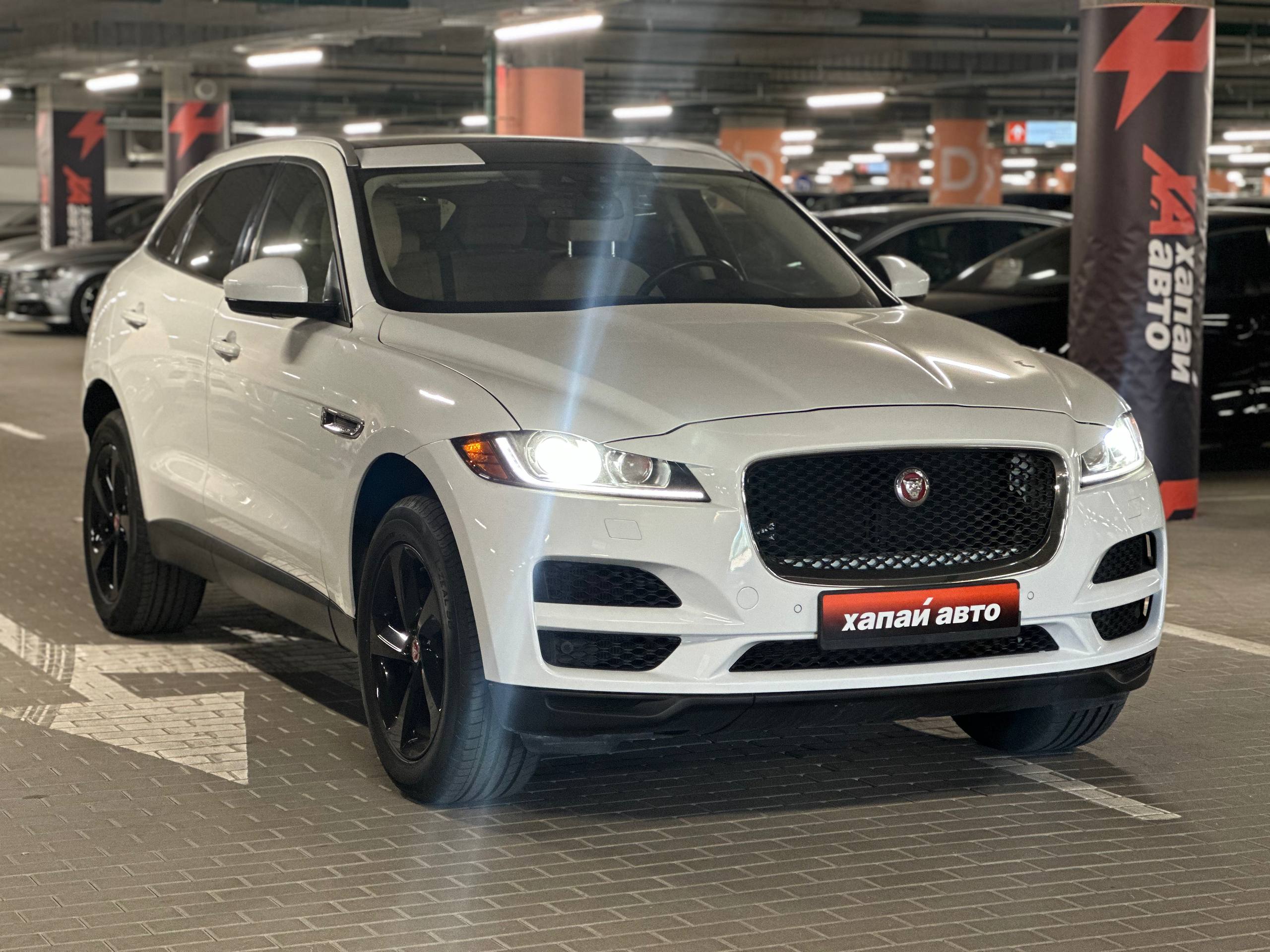 Jaguar-17