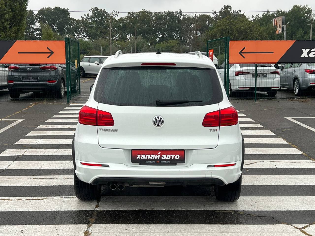 Volkswagen-5