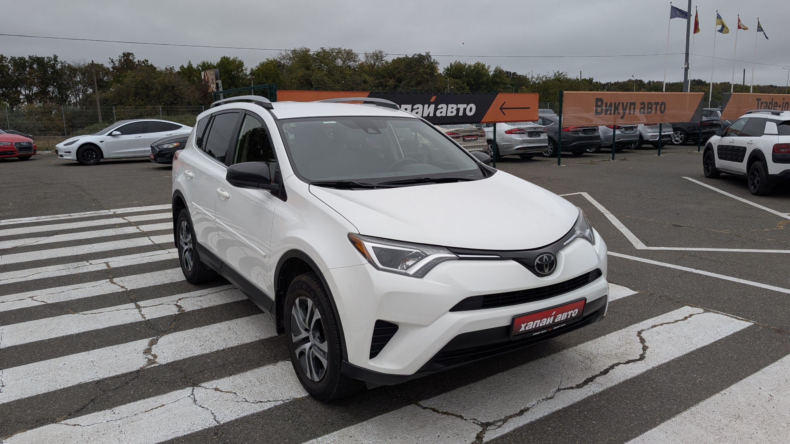 Toyota-4