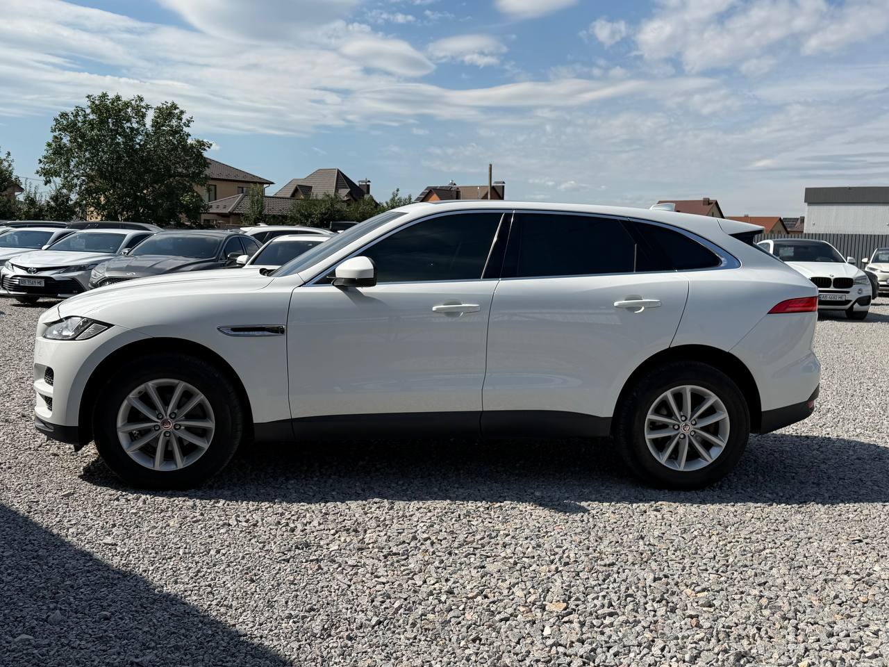 Jaguar-24