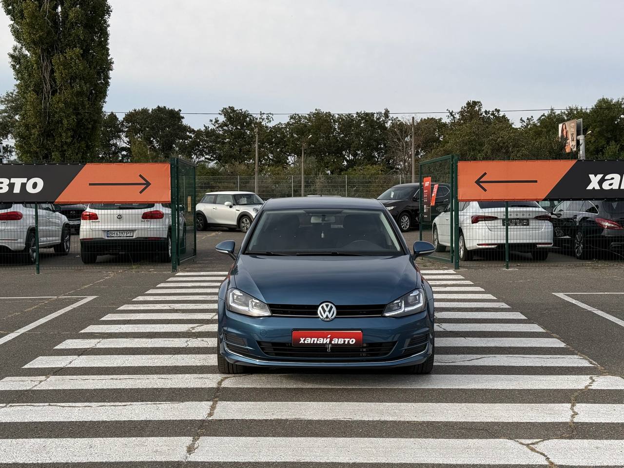 Volkswagen-6