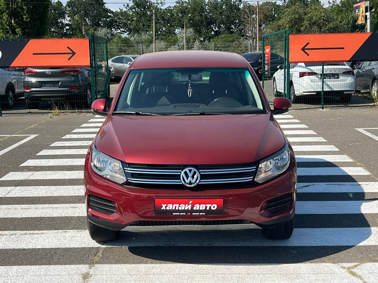 Volkswagen-1