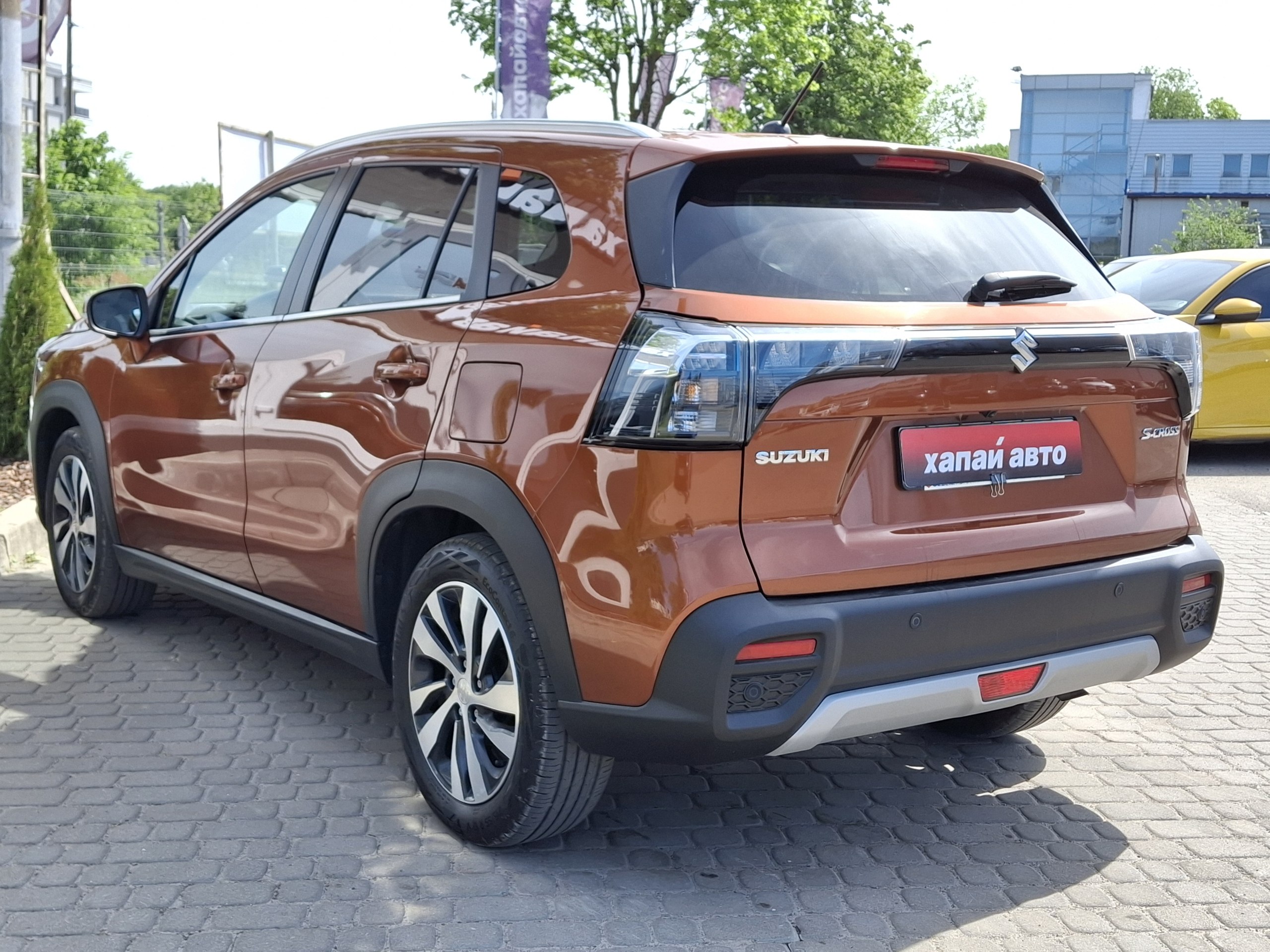 Suzuki-19