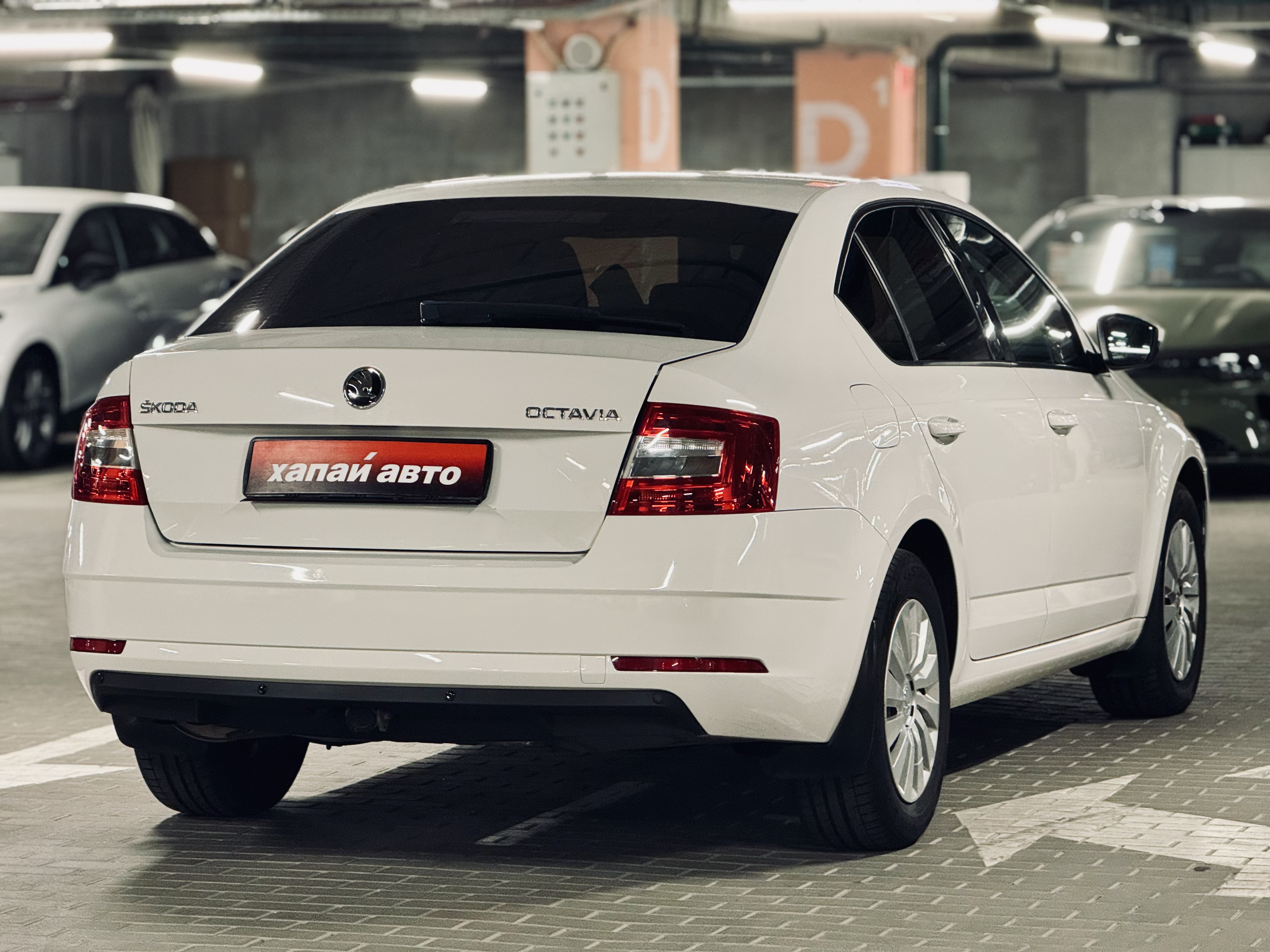 Skoda-14