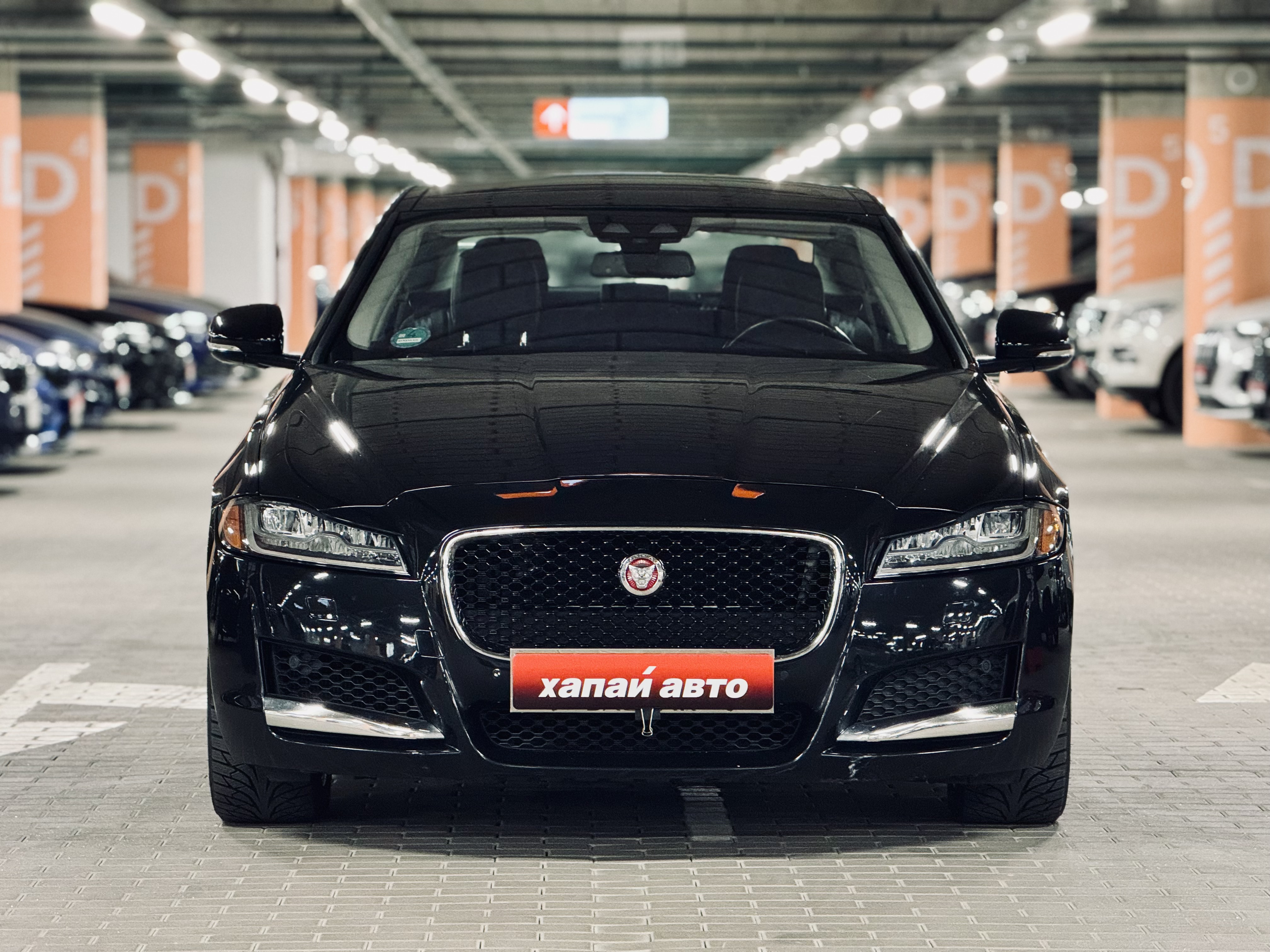 Jaguar-0