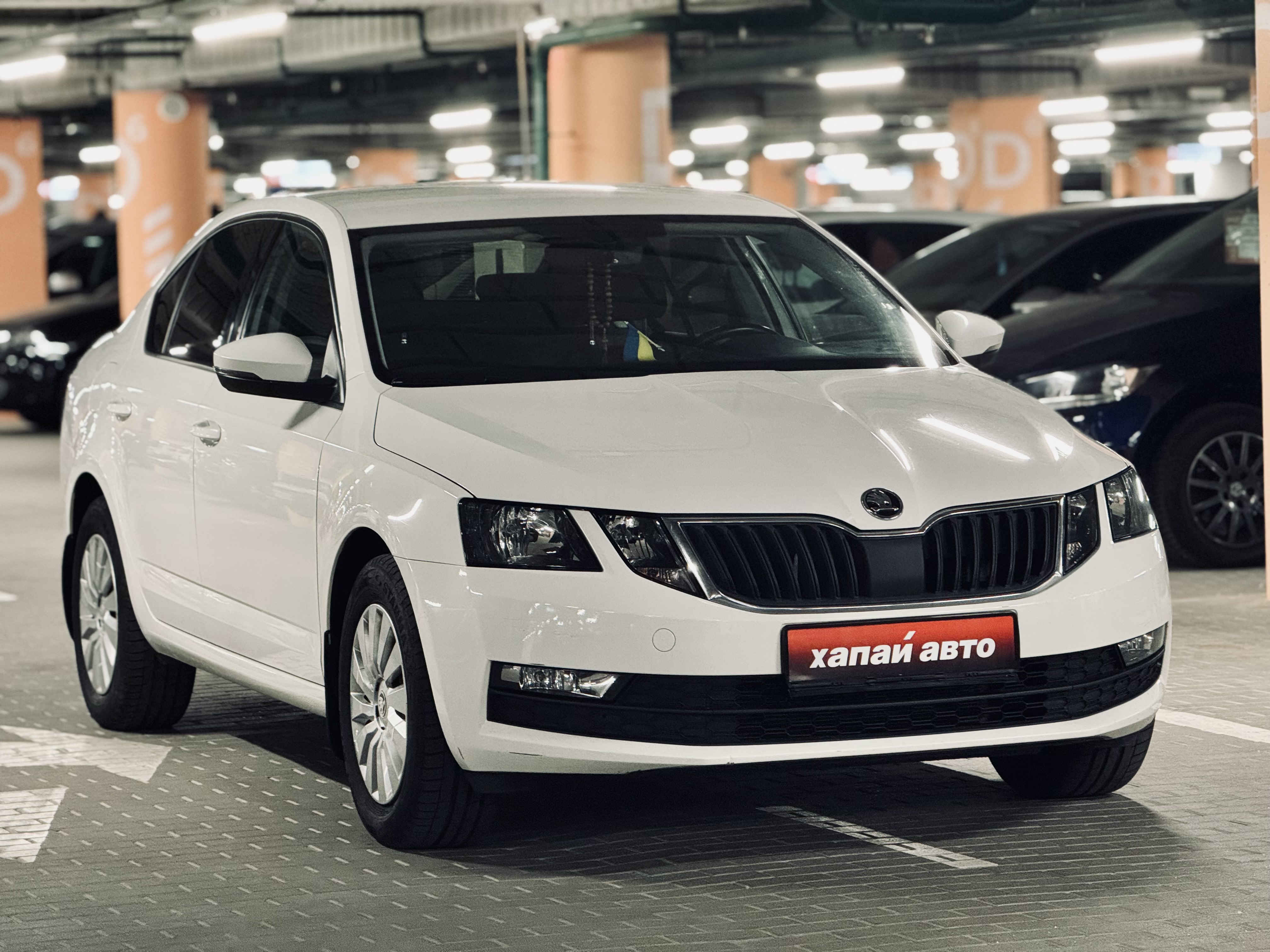 Skoda-15