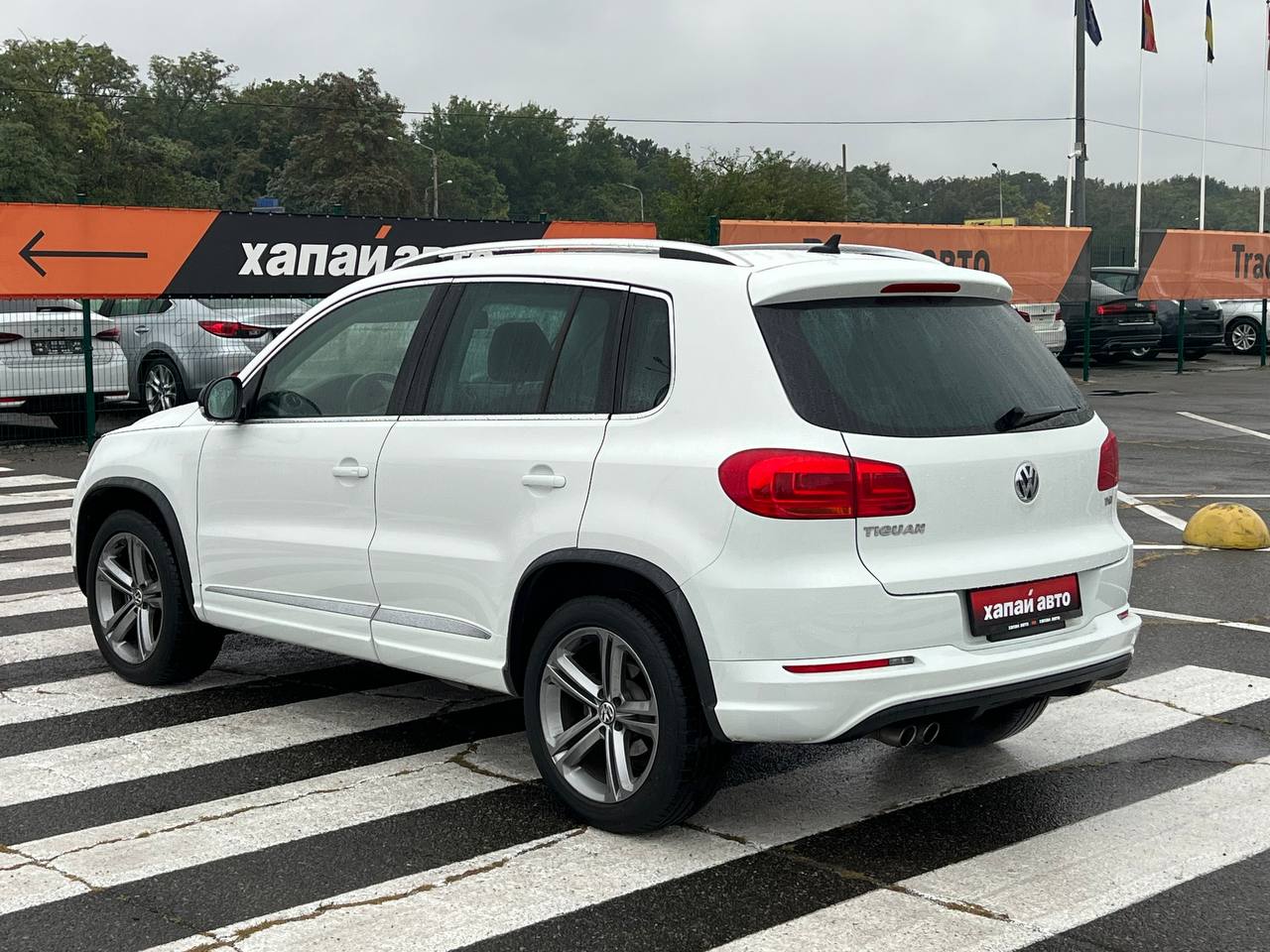 Volkswagen-6