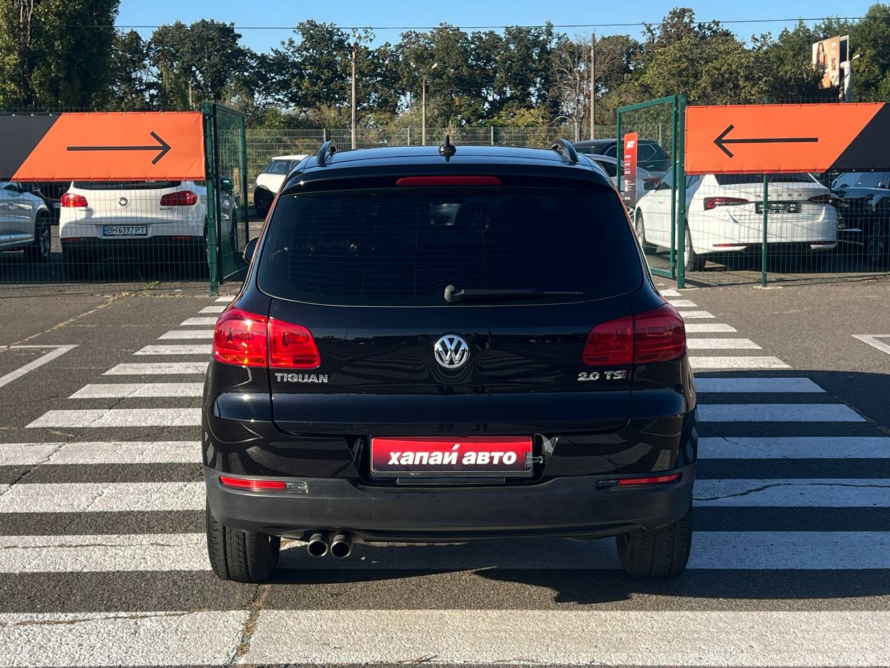 Volkswagen-8