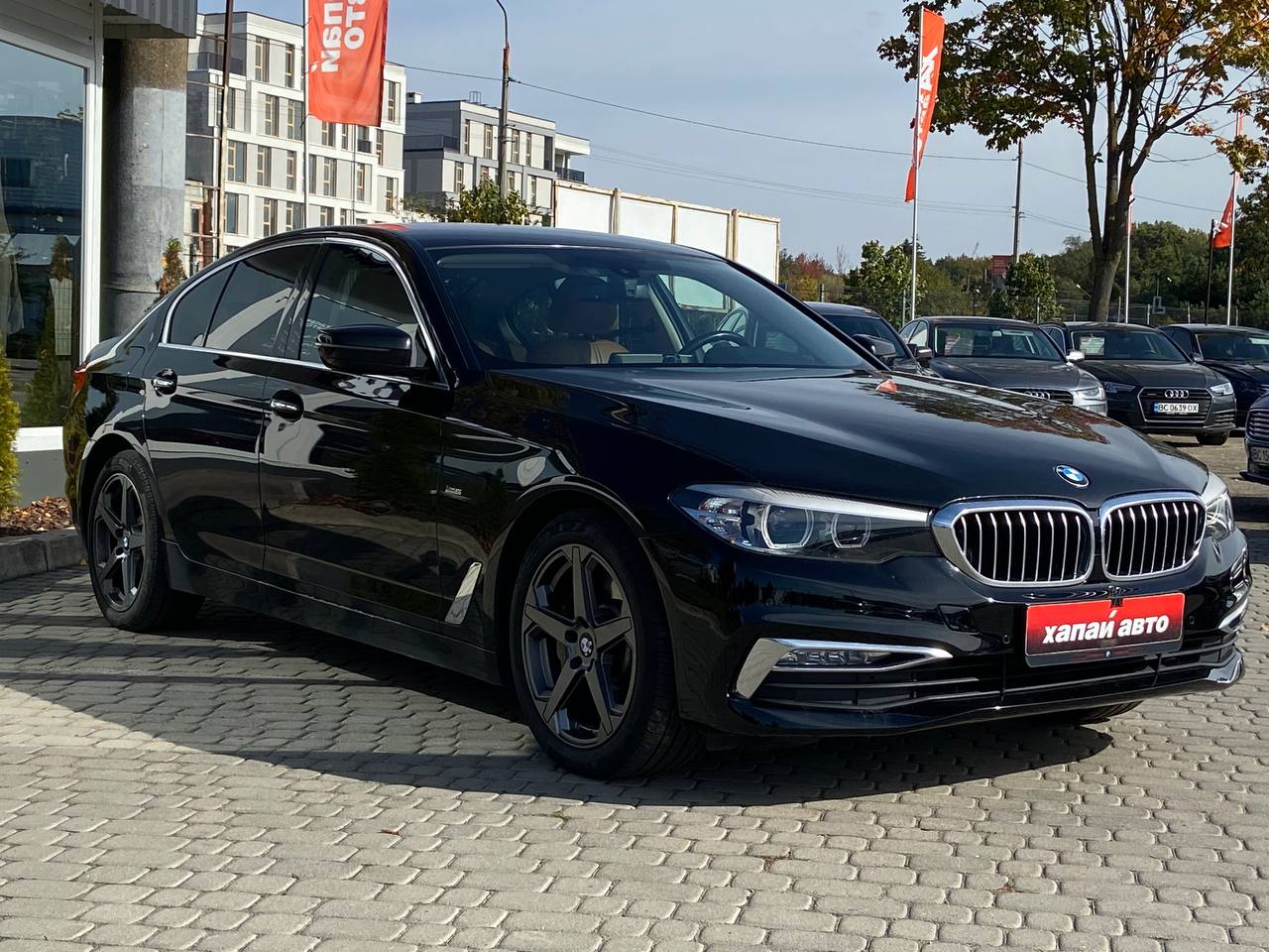 BMW-8