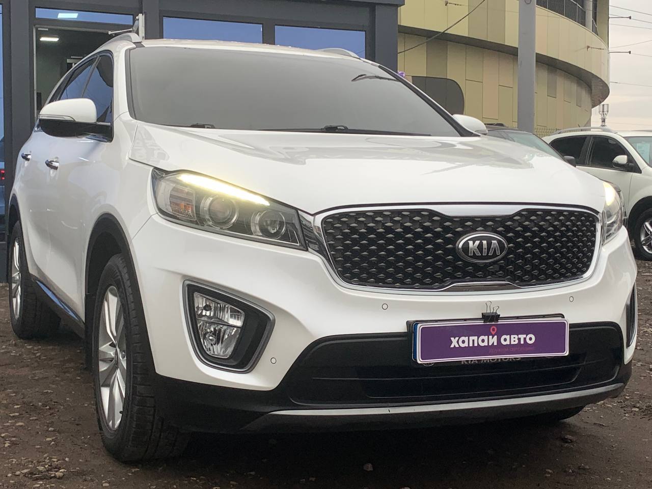 Киа Соренто, Kia Sorento - купить Киа Соренто дизель, купить Kia Sorento в  Украине | ХАПАЙавто