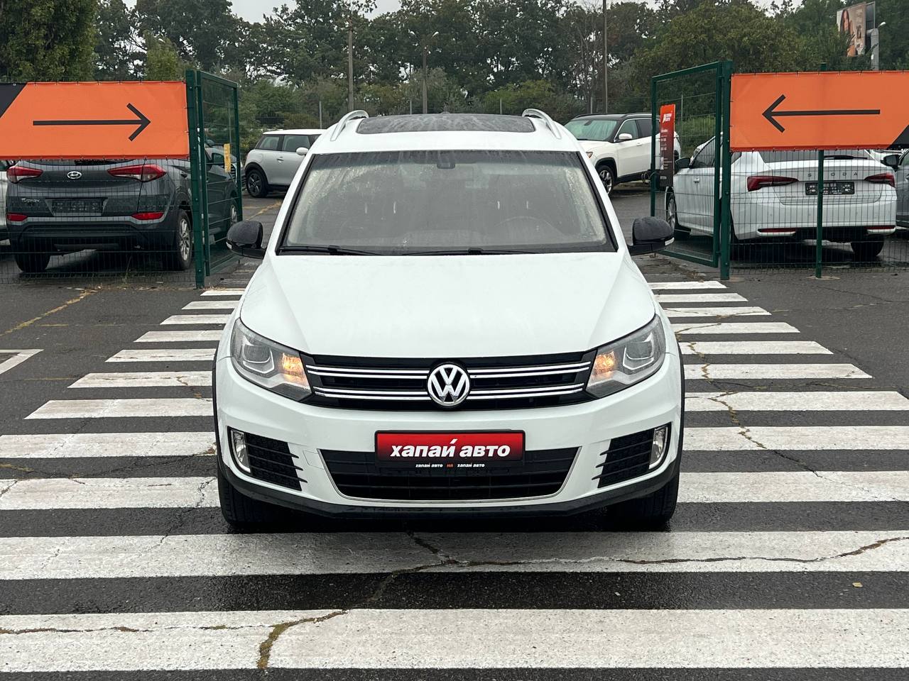 Volkswagen-1