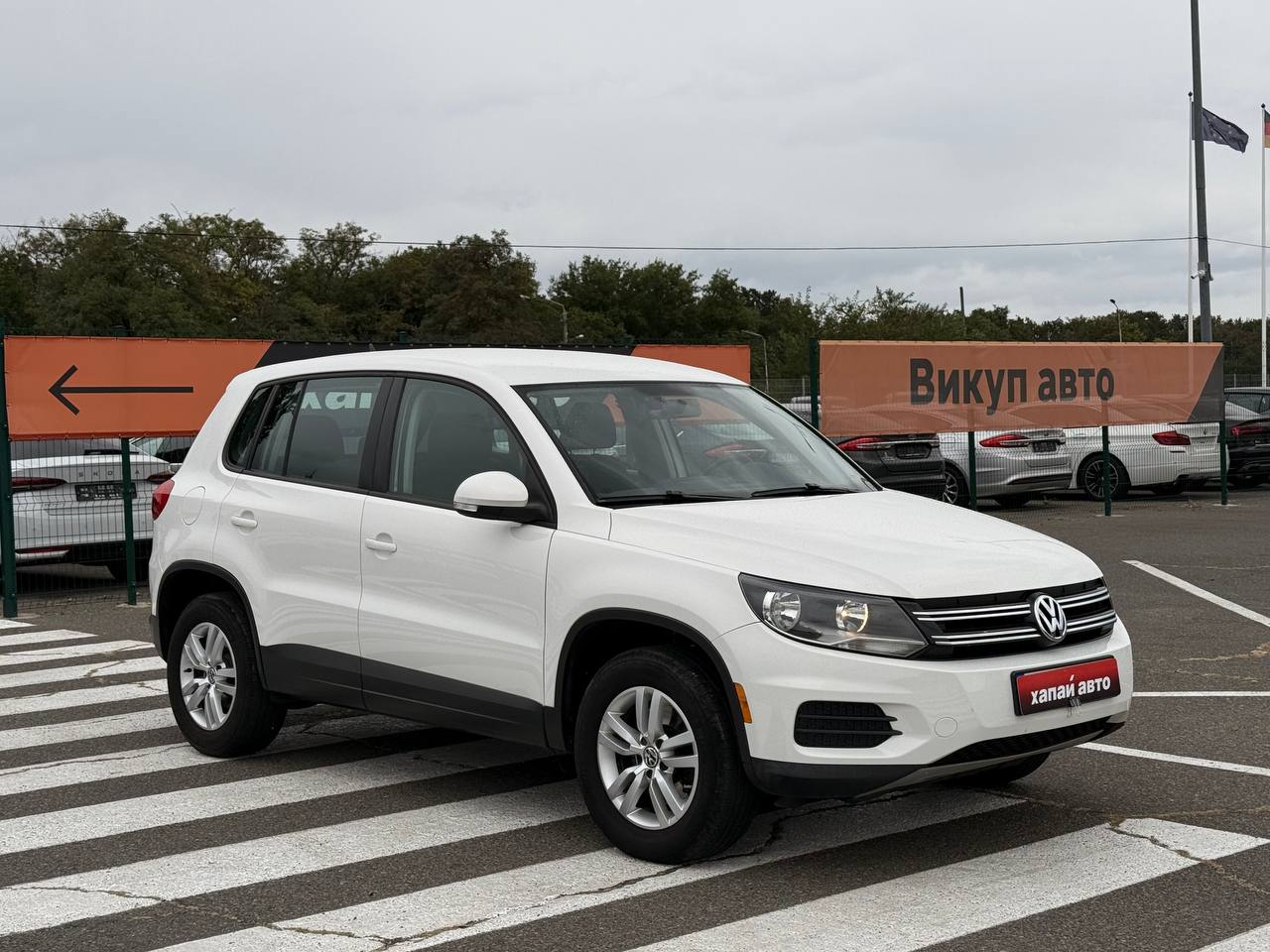 Volkswagen-15